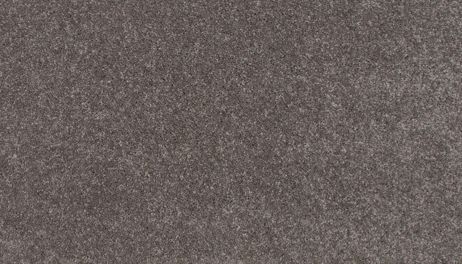 Close-up of the Lifetime Achiever II Pet Friendly Carpet, showing its plush, soft surface and even speckled pattern that offer both luxurious comfort and durability.