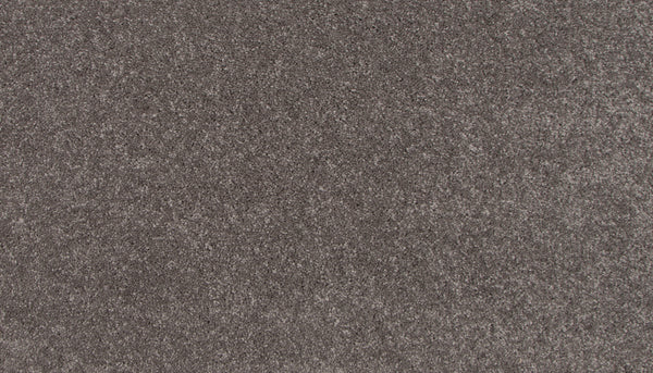 Close-up of the Lifetime Achiever II Pet Friendly Carpet, showing its plush, soft surface and even speckled pattern that offer both luxurious comfort and durability.