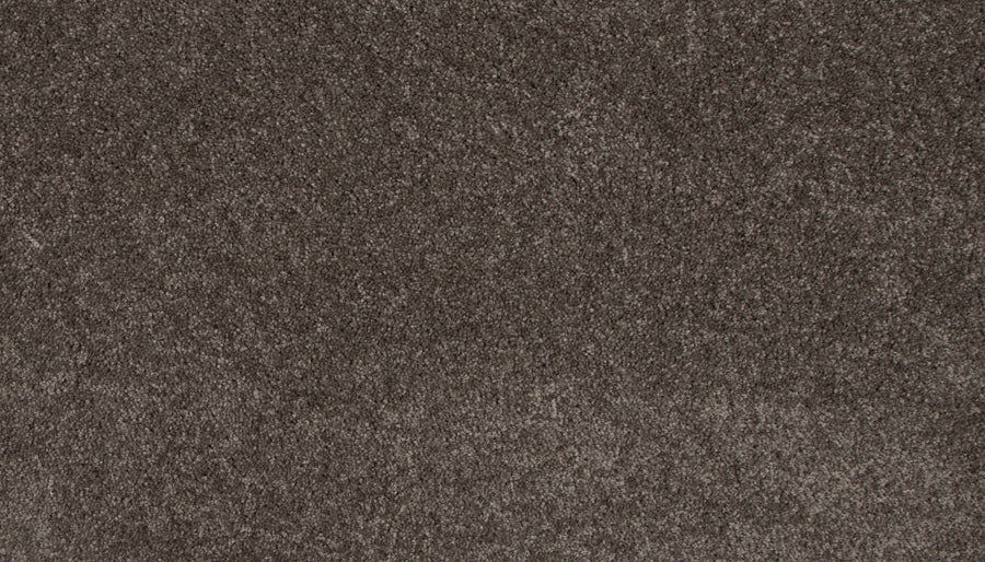 Close-up view of Lifetime Achiever II Pet Friendly Carpet, featuring a soft, dense, textured brown surface with plush fibers and varied shades—ideal for pet owners seeking style and durability.