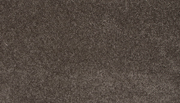 Close-up view of Lifetime Achiever II Pet Friendly Carpet, featuring a soft, dense, textured brown surface with plush fibers and varied shades—ideal for pet owners seeking style and durability.