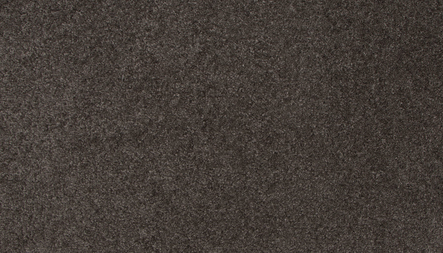 Close-up view of the dark gray, textured Lifetime Achiever II Pet Friendly Carpet featuring a soft, dense pile—ideal for adding comfort and style to any space.
