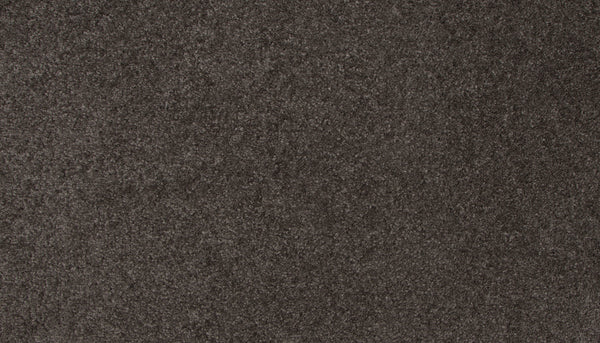 Close-up view of the dark gray, textured Lifetime Achiever II Pet Friendly Carpet featuring a soft, dense pile—ideal for adding comfort and style to any space.