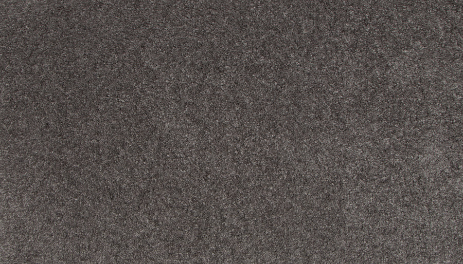 Close-up of Lifetime Achiever II Pet Friendly Carpet in gray, featuring a soft, dense texture with subtle shading—an elegant carpet designed for everyday living and perfect for homes with pets.