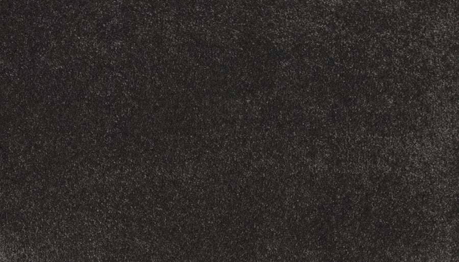 Close-up view of the dark, soft, and textured surface of Lifetime Achiever II Pet Friendly Carpet—featuring a plush, slightly uneven look that's ideal for homes needing durable, luxurious carpet.