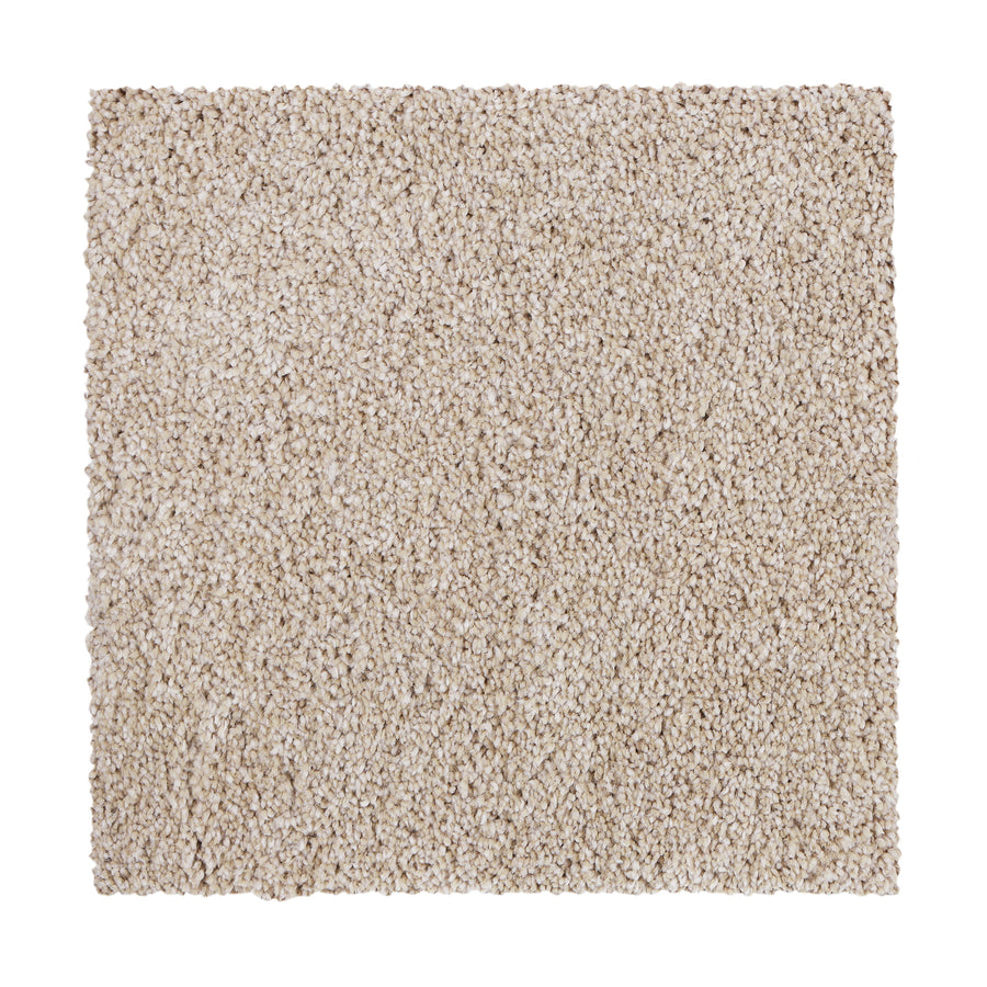 A square sample of Delicate Tones II Pet Friendly Carpet in beige is displayed on a white background, showcasing its thick, plush texture and elegant design that’s perfect for homes with pets.
