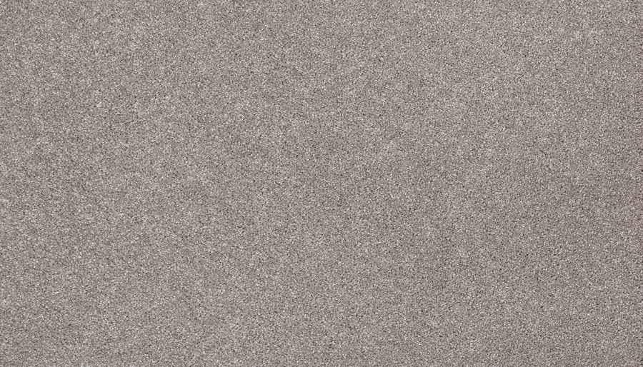 Close-up view of Delicate Tones II Pet Friendly Carpet, featuring fine, light brown fibers and a uniform, soft texture reminiscent of luxury sand. No distinct objects or patterns are visible.