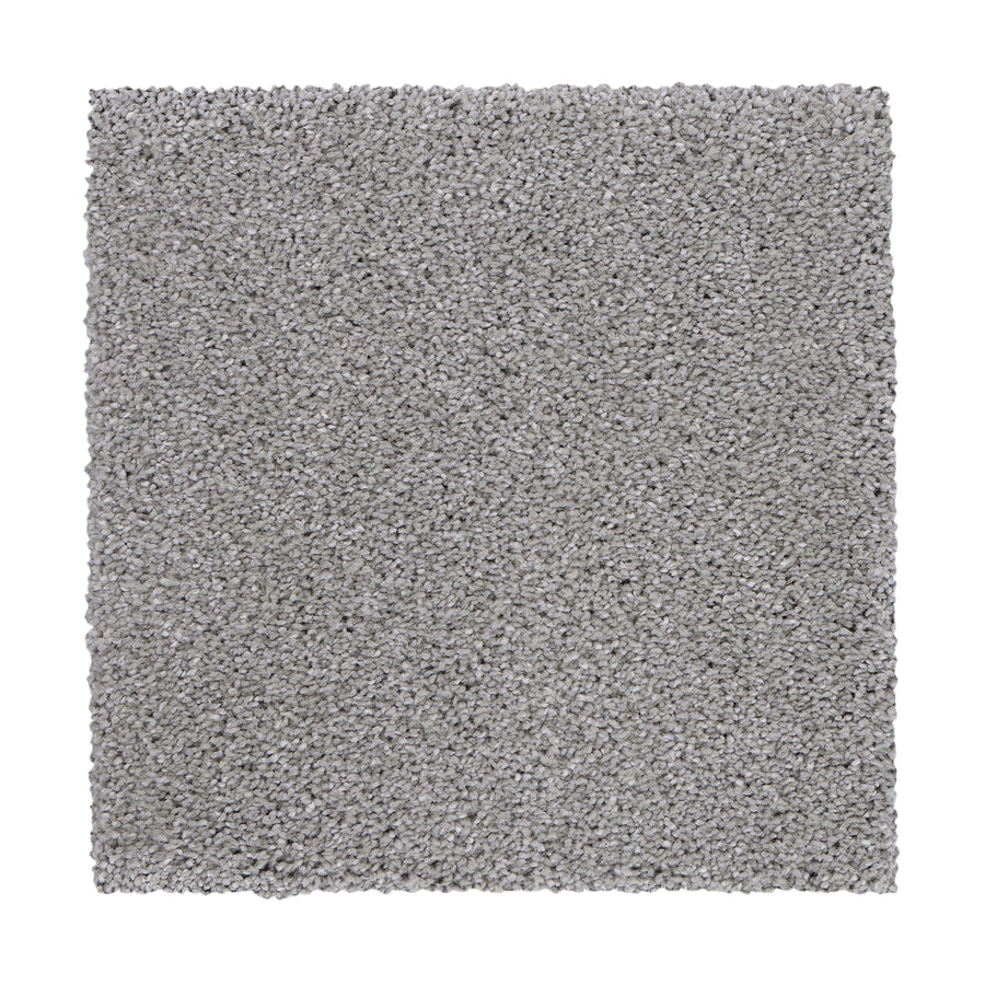 A square sample of Delicate Tones II Pet Friendly Carpet in light gray, featuring a soft, plush textured surface and elegant design, is shown from above on a white background.