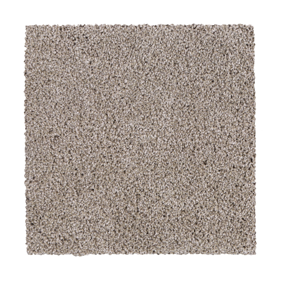 A square sample of Delicate Tones II Pet Friendly Carpet in light beige, featuring a textured, plush surface and elegant design, is shown on a white background.