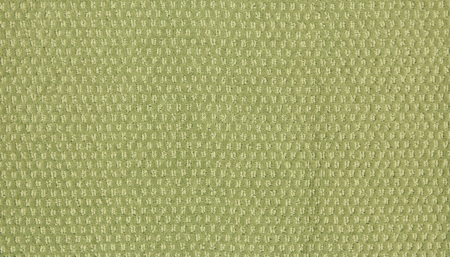 A close-up of the Vintage Manner Pet Friendly Carpet shows its textured green surface with a repeating grid pattern of small, raised rectangular shapes evenly spaced across it.