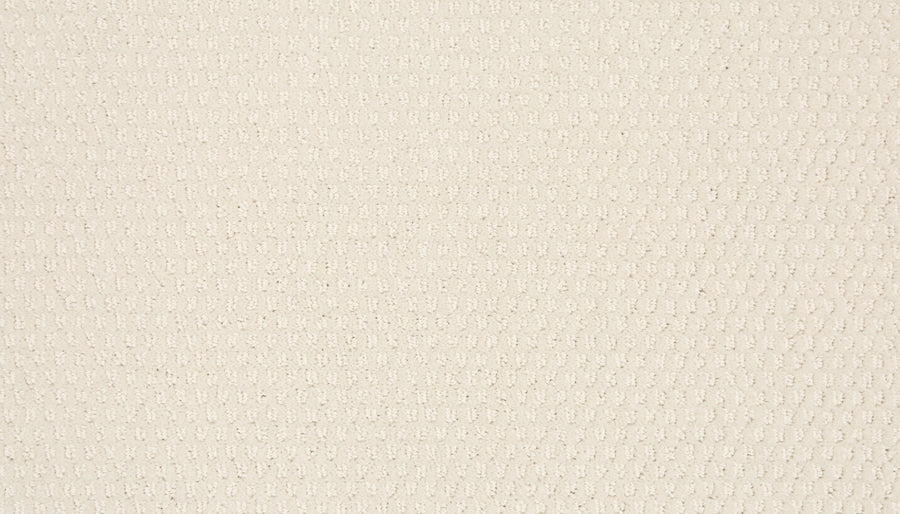 Close-up of the Vintage Manner Pet Friendly Carpet in beige, featuring a subtle, repeating grid pattern. The soft, slightly raised woven surface offers both elegance and durability for pet owners.