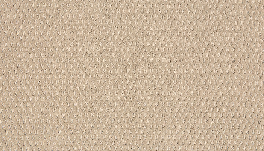 Vintage Manner Pet Friendly Carpet features beige textured fabric with a small grid pattern. Its soft, evenly woven surface offers a cozy, practical look—perfect for homes seeking comfort and durability.