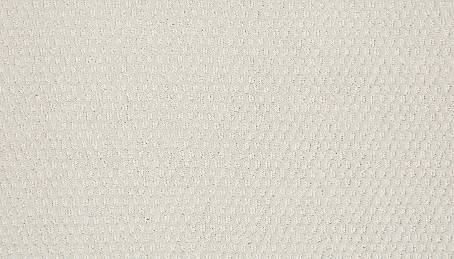 Close-up of the Vintage Manner Pet Friendly Carpet in beige, featuring a soft, textured waffle pattern. The cozy, slightly raised surface adds comfort and elegance, making it a luxurious choice for any space.