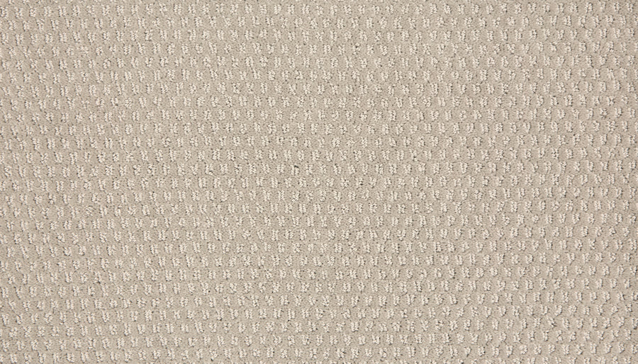 Close-up of the Vintage Manner Pet Friendly Carpet in beige, featuring a subtle grid pattern with small raised rectangular shapes for an elegant, textured finish.