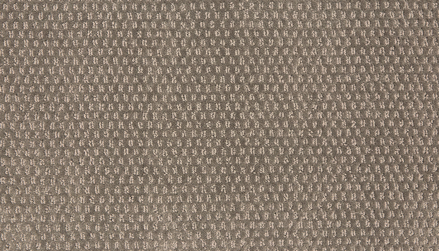 Close-up of the Vintage Manner Pet Friendly Carpet in light brown, featuring a soft, textured surface with a subtle rectangular pattern. The raised fibers add depth and uniformity, combining luxury design with pet-friendly durability.