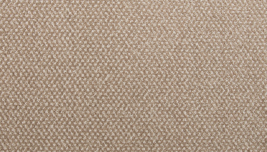 Hometown News Family Friendly Carpet