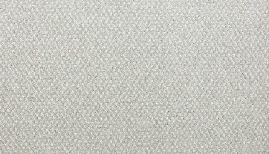 Hometown News Family Friendly Carpet