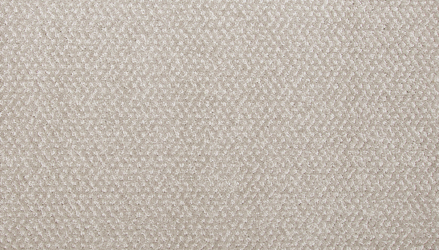 Hometown News Family Friendly Carpet