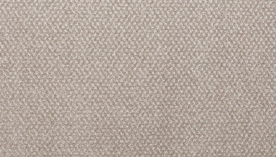 Hometown News Family Friendly Carpet