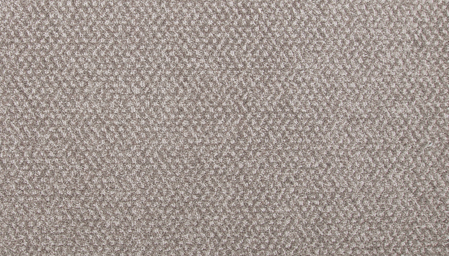 Hometown News Family Friendly Carpet