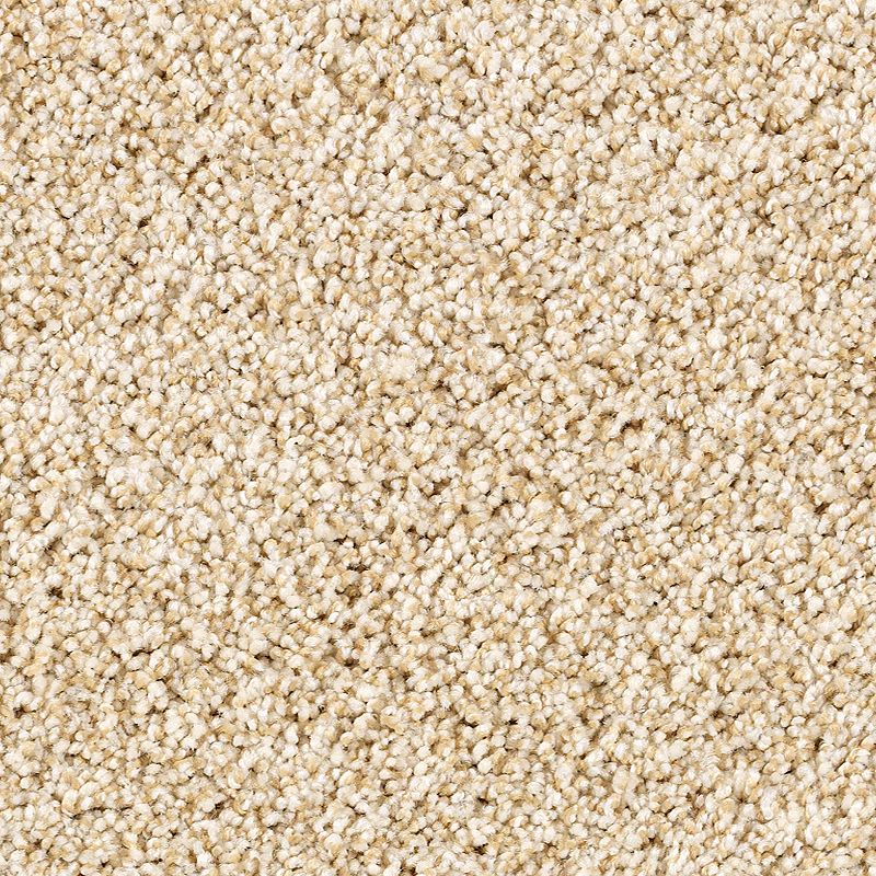 Close-up view of Shaded Escape Family Friendly Carpet in Oakwood—beige, plush, and densely textured fibers create a soft, warm, and cozy look, making it perfect for any home.