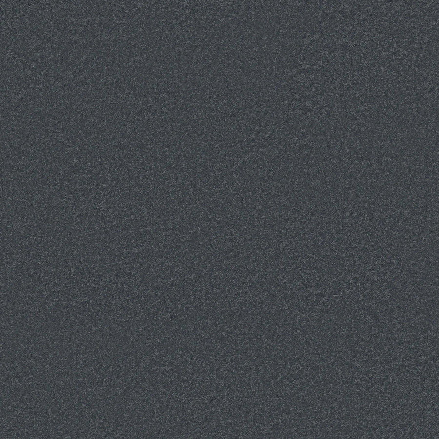 A close-up of Oceanic Smooth Tone Pet Friendly Carpet in dark gray, highlighting its dense, textured fibers and durable, stain-resistant surface—perfect for homes with pets.