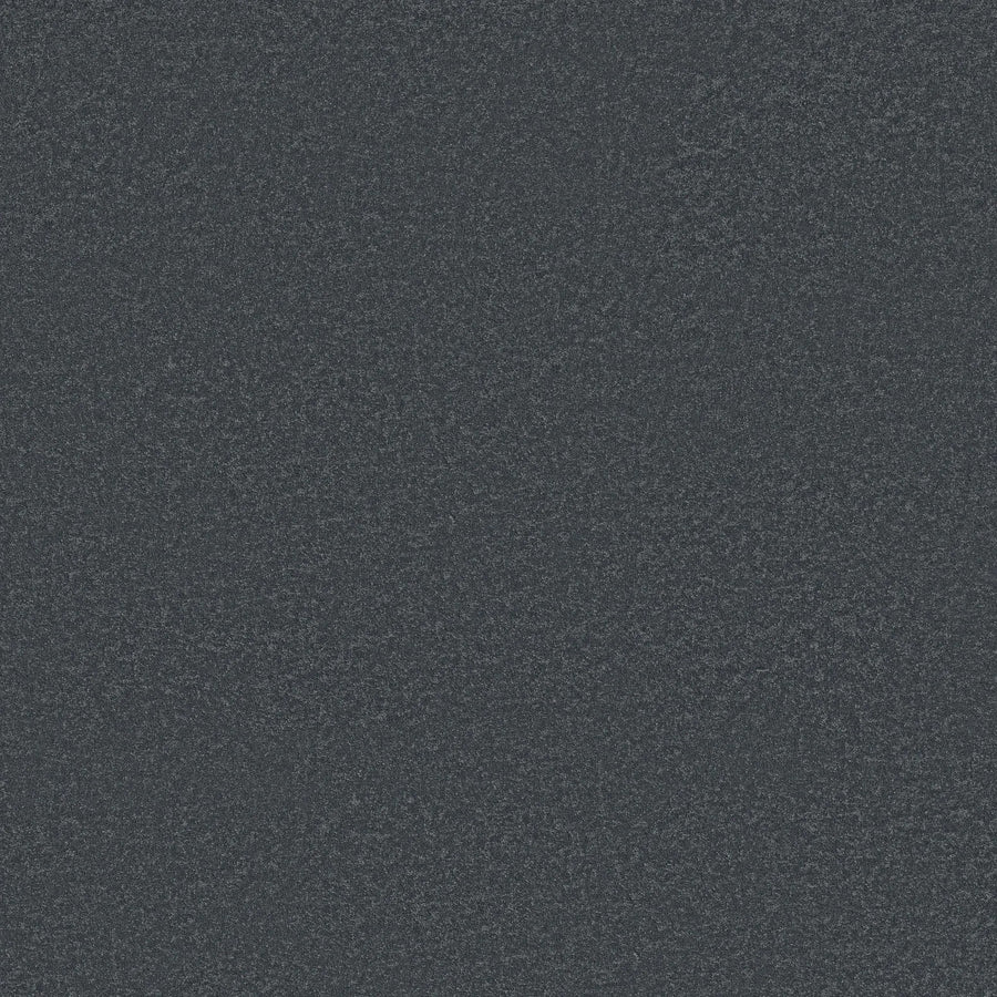 A close-up of Classic Tone Pet Friendly Carpet in Oceanic color reveals a dark grey, textured surface with a durable and consistent appearance, ideal for pet-friendly spaces.