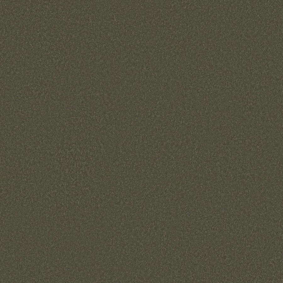 A close-up of the Smooth Tone Blue Pet Friendly Carpet in Olive Green shows a fine, even grainy texture—an ideal choice for luxurious flooring that combines sophistication, durability, and pet-friendly comfort.