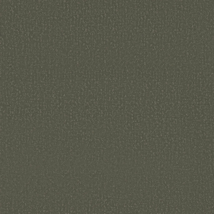 Crafted Tone Blue Pet Friendly Carpet in Olive Tree is a stain-resistant, textured carpet with small, evenly spaced speckles—perfect for busy homes that want both style and durability.