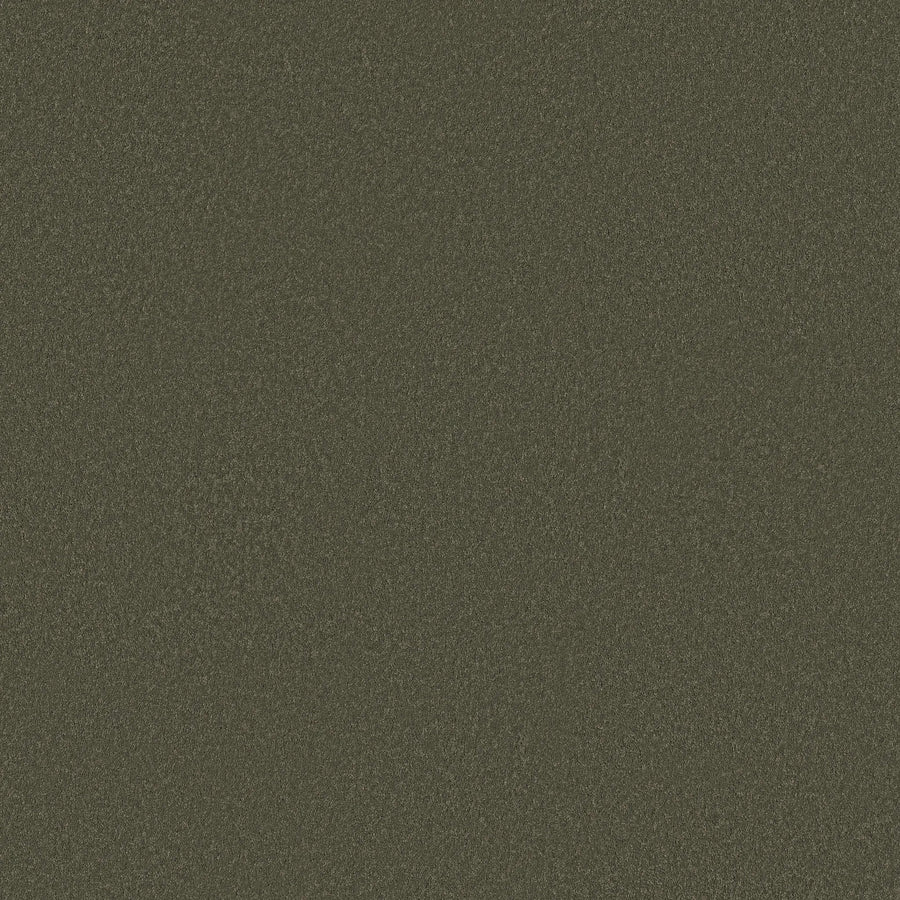 Close-up view of the Classic Tone Blue Pet Friendly Carpet in Olive Tree color, featuring a textured, rough, and granular surface that resembles durable, matte material.