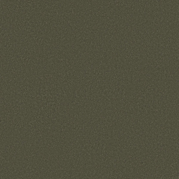 Classic Tone Pet Friendly Carpet in Olive Tree features a textured, dark olive green surface with fine speckles and a durable, granular finish—ideal for high-traffic, pet-friendly areas.