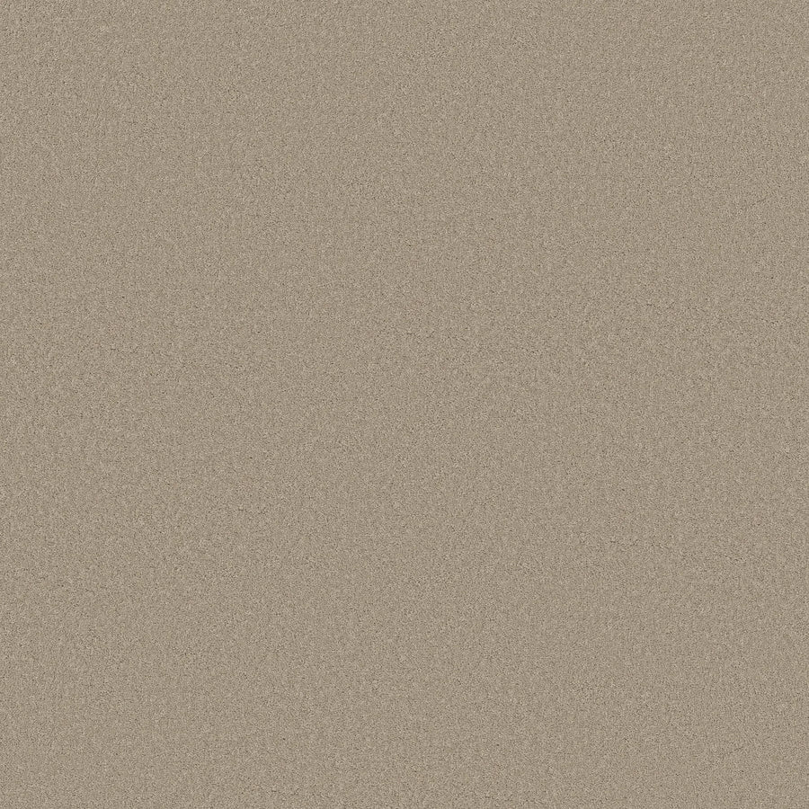 Close-up of fine, light brown sand grains forming a smooth surface, evoking the texture of Smooth Tone Pet Friendly Carpet in Open Canyon—durable, pet friendly, and stain resistant.