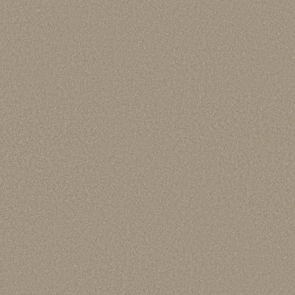 A close-up of Smooth Tone Blue Pet Friendly Carpet in Open Canyon shows its fine, beige surface with a soft, uniform texture, resembling luxurious flooring and offering a pet-friendly, smooth finish.