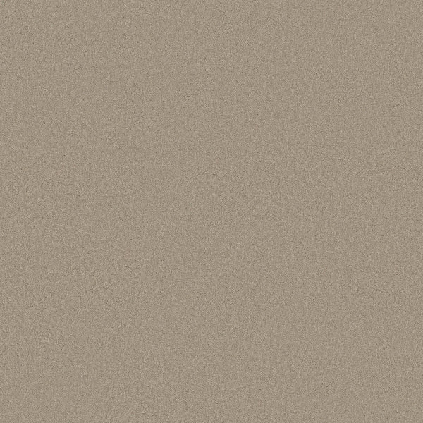 A close-up of smooth, light brown sand with a fine, even texture—mirroring the look and feel of Classic Tone Pet Friendly Carpet in Open Canyon, which is known for durability and easy maintenance.