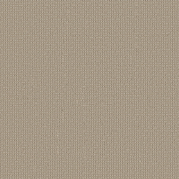 A close-up of the Knitted Tone Pet Friendly Carpet in Open Canyon shows its tightly woven, beige-textured fabric. Made from premium materials, it appears soft and smooth with a consistent, neutral tone throughout.