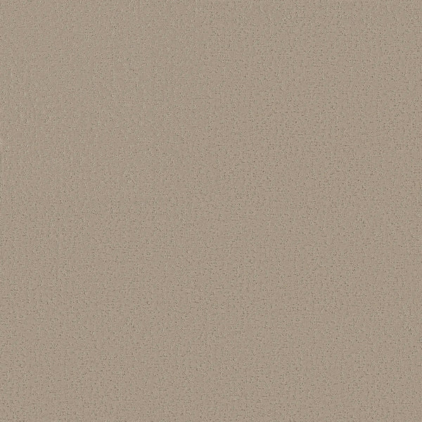 A close-up view of the Crafted Tone Blue Pet Friendly Carpet in Open Canyon, showing its plain, textured beige surface with a subtle, uniform pattern throughout.