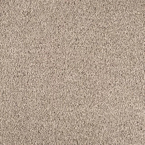 Close-up view of Warm Reception Pet Friendly Carpet in beige, showcasing its plush texture and tightly woven fibers. The soft, neutral surface provides luxurious comfort and consistent appearance throughout the image.