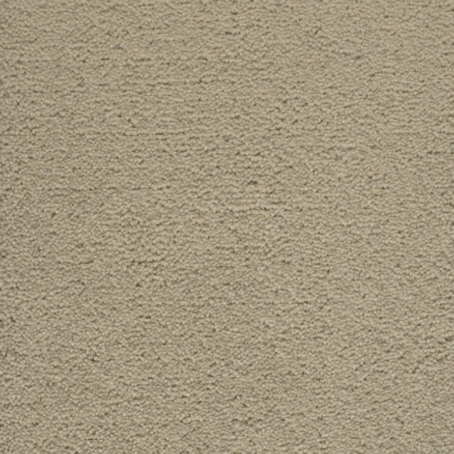 Close-up of a beige, rough-textured stucco wall, perfect as a backdrop for Dolce Family Friendly Carpet in Overcast—a durable choice for high-traffic, family spaces.