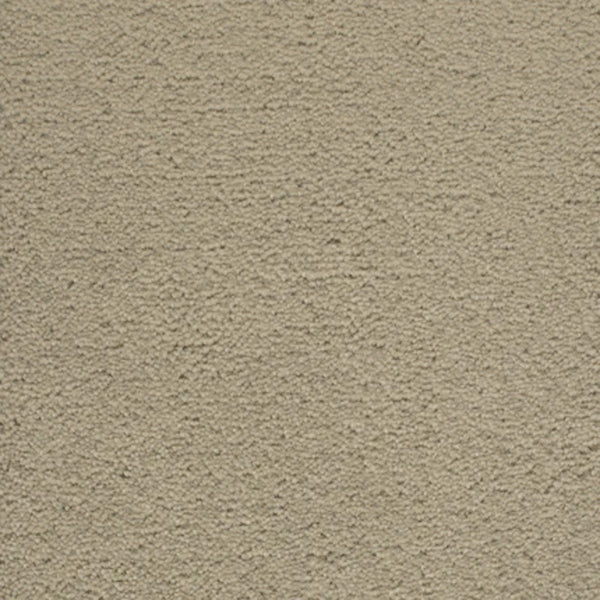 Close-up of a beige, rough-textured stucco wall, perfect as a backdrop for Dolce Family Friendly Carpet in Overcast—a durable choice for high-traffic, family spaces.