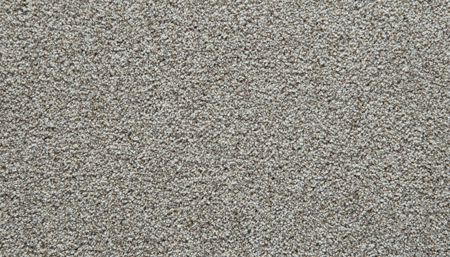 Close-up of light gray, textured Cozy Companion Pet Friendly Carpet in the Oyster color, featuring a dense and uniform pile that reveals individual fibers and a soft, plush appearance—showcasing its durability and appeal as a carpet choice.