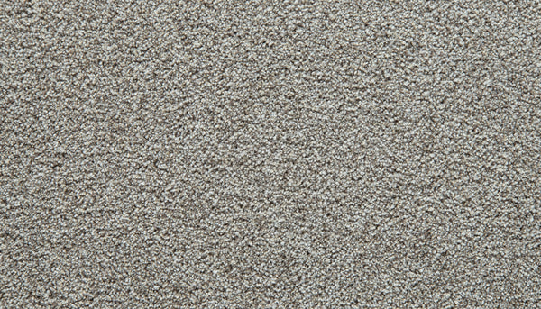 Close-up of light gray, textured Cozy Companion Pet Friendly Carpet in the Oyster color, featuring a dense and uniform pile that reveals individual fibers and a soft, plush appearance—showcasing its durability and appeal as a carpet choice.