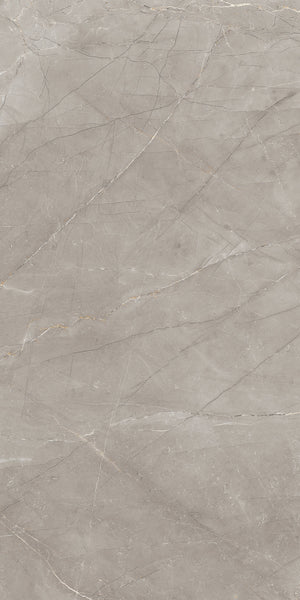 A light gray marble surface with fine, irregular white and beige veins running diagonally across it, creating a natural and elegant pattern.