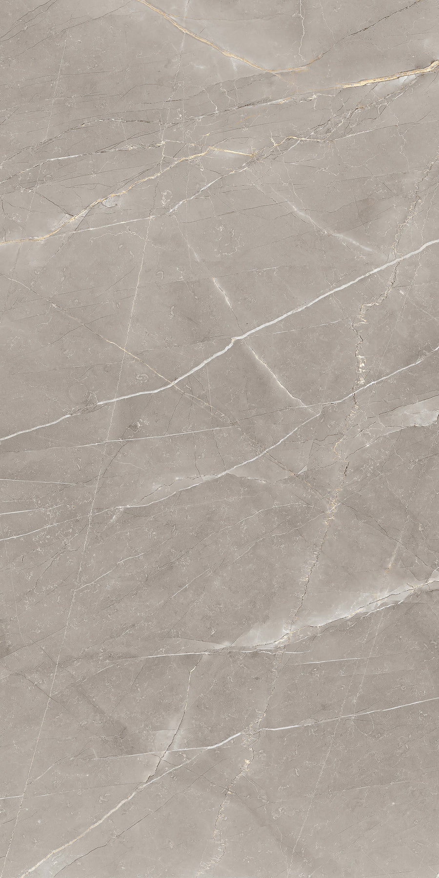 A close-up view of a smooth, light gray marble surface with white and tan veining patterns running diagonally across it.