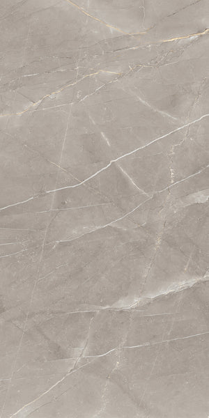 A close-up view of a smooth, light gray marble surface with white and tan veining patterns running diagonally across it.