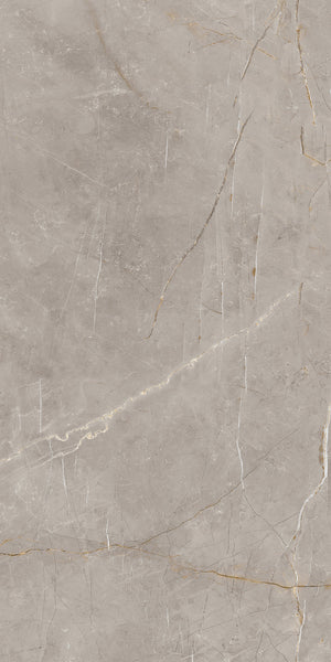 A close-up view of a gray marble surface with natural white and gold veining running throughout, creating an elegant and sophisticated stone texture.