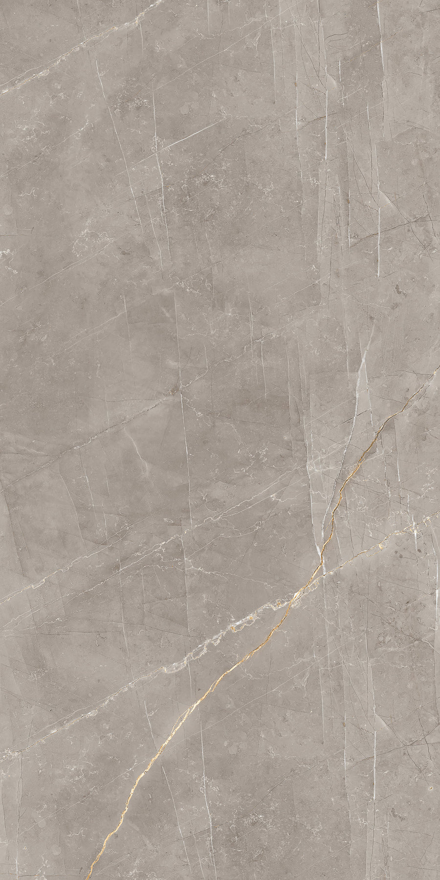 A slab of smooth, light gray marble with thin white veins and a prominent diagonal gold-brown vein running across the surface. The texture appears natural and polished.