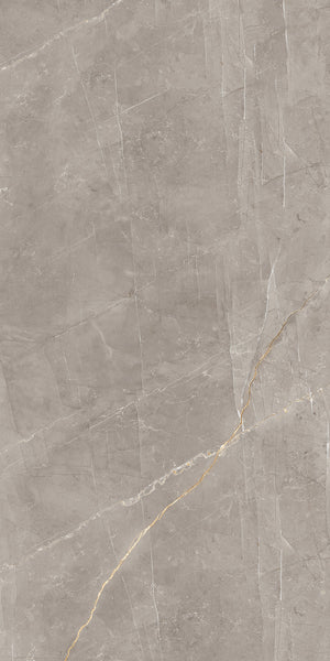 A slab of smooth, light gray marble with thin white veins and a prominent diagonal gold-brown vein running across the surface. The texture appears natural and polished.