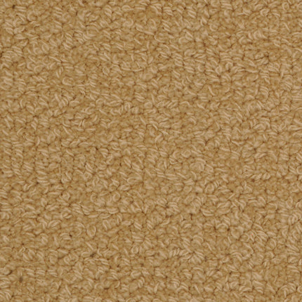 Close-up of Savant Berber Carpet in Padgett color—features tightly woven loops and a soft, uniform texture, making it a durable and stylish choice for high-traffic areas.