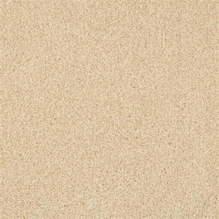 A close-up of Oceanside Family Friendly Carpet in Pale Almond shows fine, light beige fibers with a smooth, plush texture and even appearance—just like welcoming, easy-care flooring for families, free from patterns or visible objects.