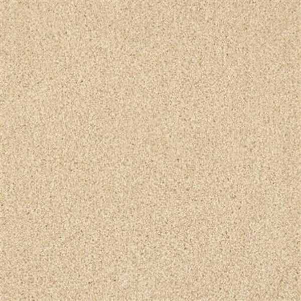 A close-up of Oceanside Family Friendly Carpet in Pale Almond shows fine, light beige fibers with a smooth, plush texture and even appearance—just like welcoming, easy-care flooring for families, free from patterns or visible objects.