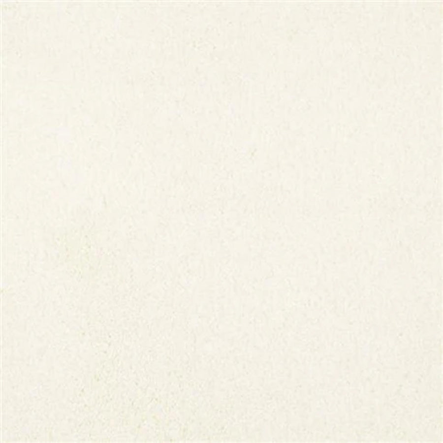 A close-up shows the Oceanside Family Friendly Carpet in Palm Coast—a smooth, off-white surface with a subtle, fine texture and no visible patterns or objects.